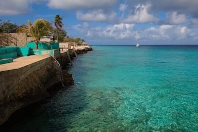 Pourquoi se rendre à l'île Bonaire pour vos voyages touristiques ?
