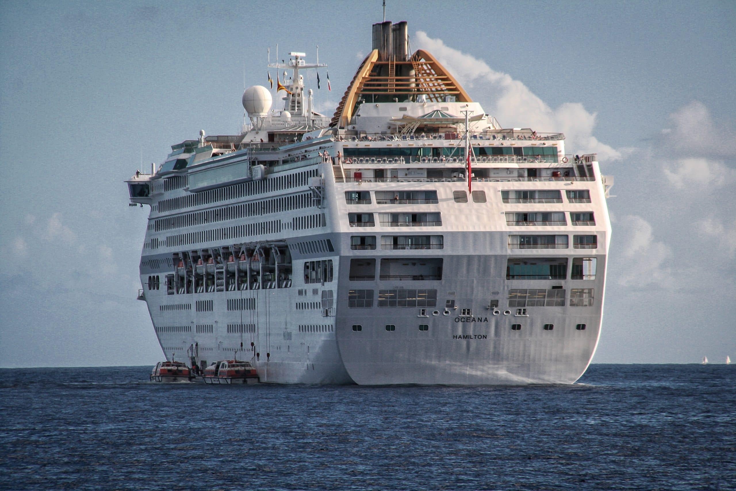 Naviguer vers la nature : les croisières pour les amoureux de la faune et de la flore