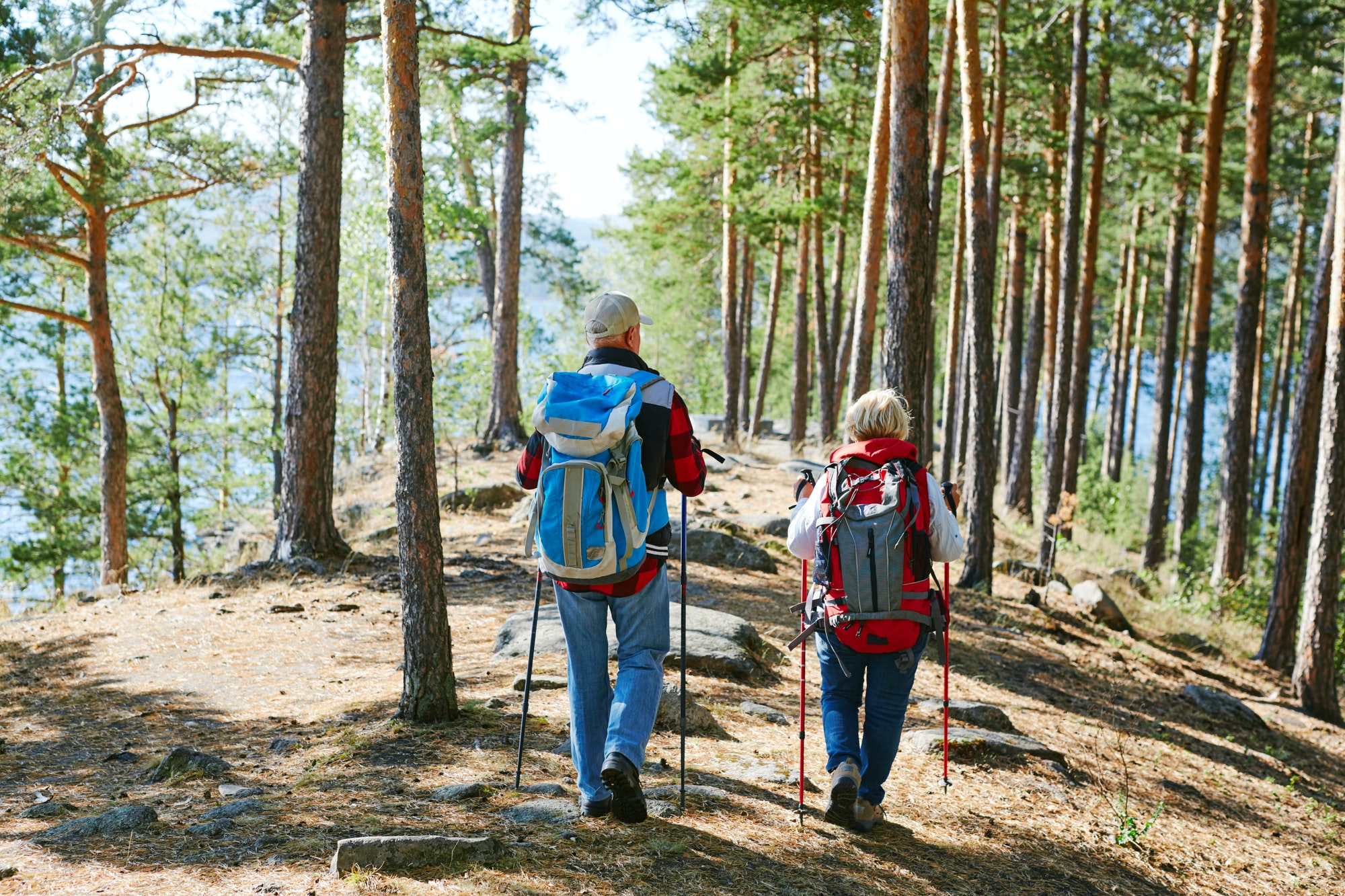 Quels sont les parcours de trek les plus pittoresques dans les Alpes suisses pour les photographes?